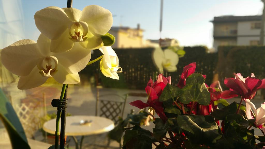 Hotel Villa Truentum Martinsicuro Zewnętrze zdjęcie